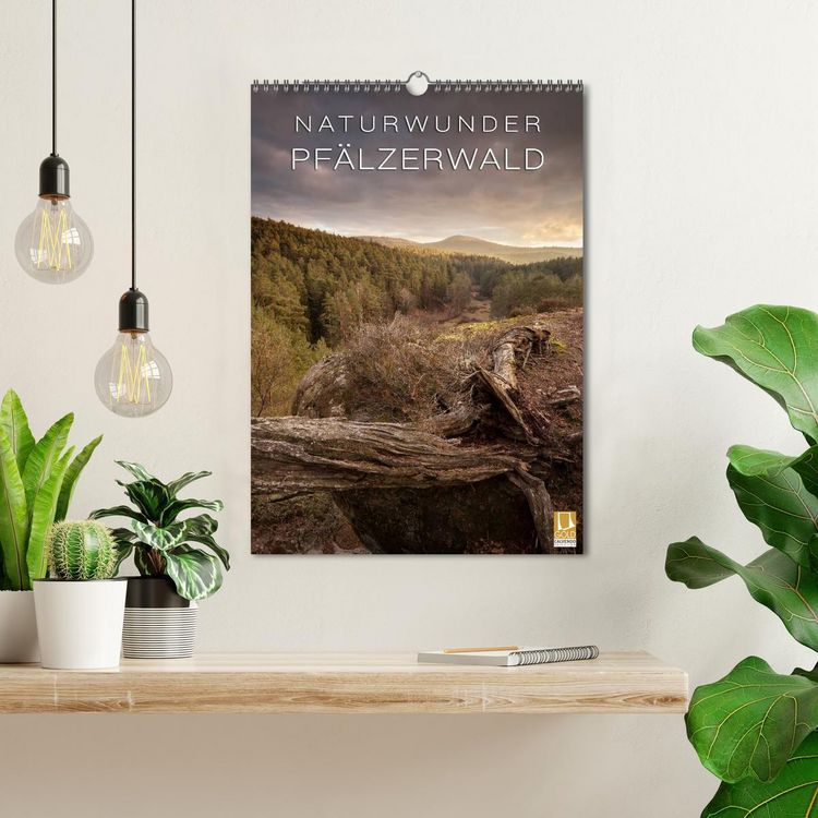 Produktbild: NATURWUNDER PF&Auml;LZERWALD (Wandkalender 2026 DIN A3 hoch), CALVENDO Monatskalender