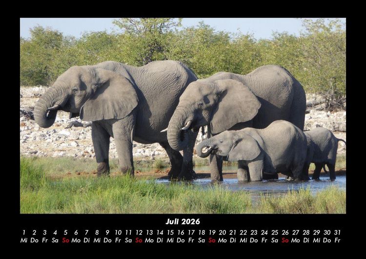 Produktbild: Der Elefantenkalender 2026 Fotokalender DIN A3