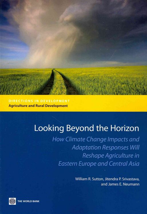 Produktbild: Looking Beyond the Horizon