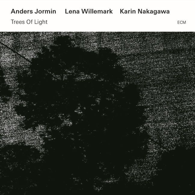 Produktbild: Trees Of Light