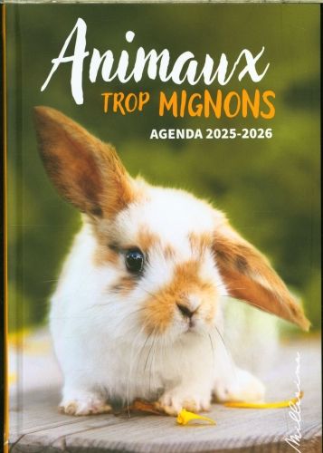 Produktbild: Animaux trop mignons : agenda 2025 2026