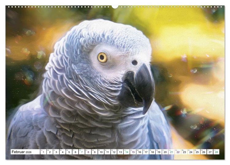Produktbild: Papageien und Sittiche - Kunstbilder (hochwertiger Premium Wandkalender 2026 DIN A2 quer), Kunstdruck in Hochglanz