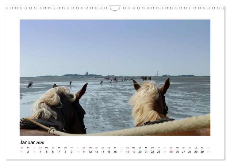 Produktbild: Die sch&ouml;ne Insel Neuwerk (Wandkalender 2026 DIN A3 quer), CALVENDO Monatskalender