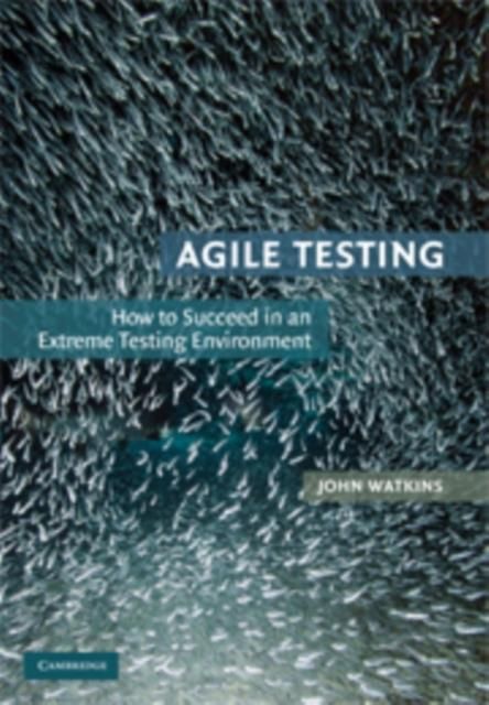 Produktbild: Agile Testing