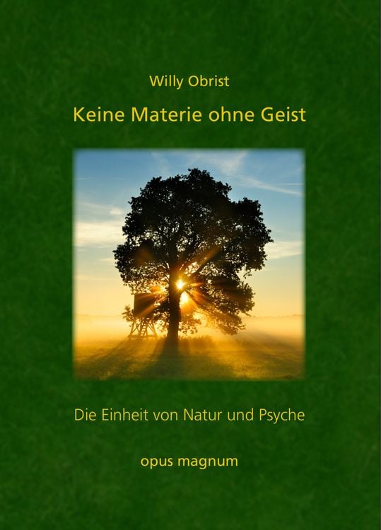 Produktbild: Keine Materie ohne Geist: