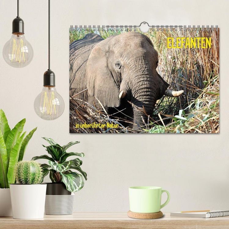 Produktbild: ELEFANTEN IN UNBER&Uuml;HRTER NATUR (Wandkalender 2026 DIN A4 quer), CALVENDO Monatskalender