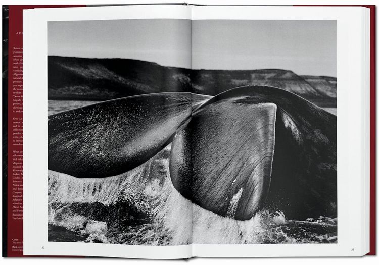 Produktbild: Sebasti&atilde;o Salgado. G&eacute;nesis