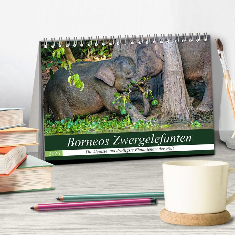 Produktbild: Borneos Zwergelefanten (Tischkalender 2026 DIN A5 quer), CALVENDO Monatskalender