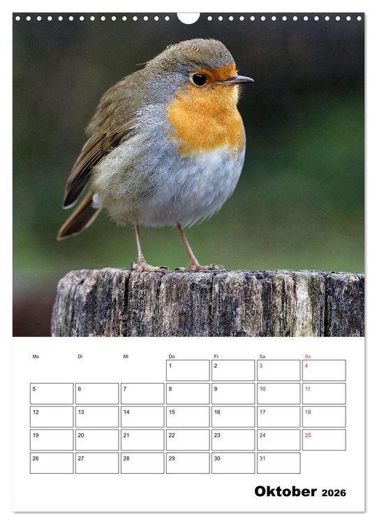 Produktbild: Bezaubernde V&ouml;gel im heimischen Garten (Wandkalender 2026 DIN A3 hoch), CALVENDO Monatskalender