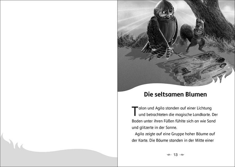 Produktbild: Der letzte Feuerfalke und das Silbermoor (Band 8)