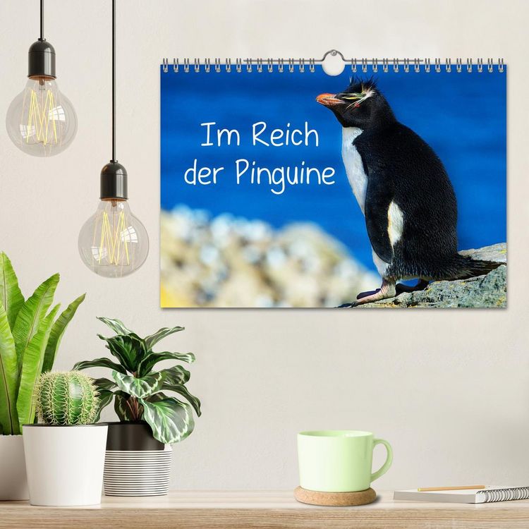 Produktbild: Im Reich der Pinguine (Wandkalender 2026 DIN A4 quer), CALVENDO Monatskalender