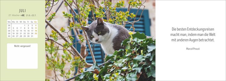 Produktbild: Katzen Premium-Tischplaner 2027 - Der literarische Wochenkalender mit Zitaten