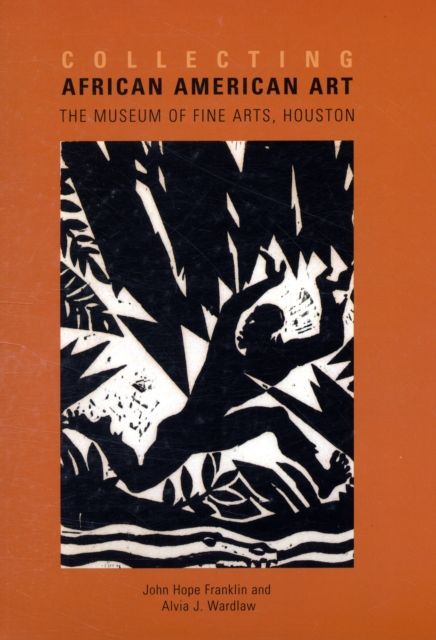 Produktbild: Franklin, J: Collecting African American Art - The Museum of