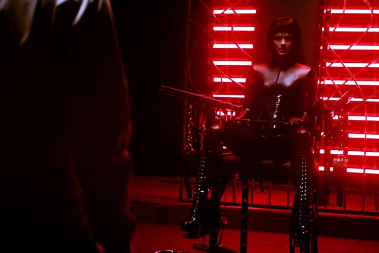 Produktbild: Dogs Don't Wear Pants