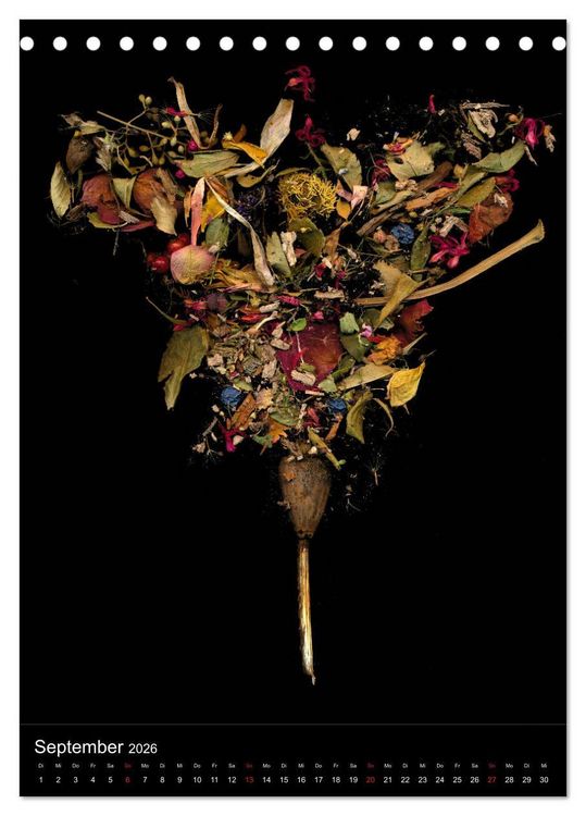 Produktbild: Blumen bei Nacht (Tischkalender 2026 DIN A5 hoch), CALVENDO Monatskalender