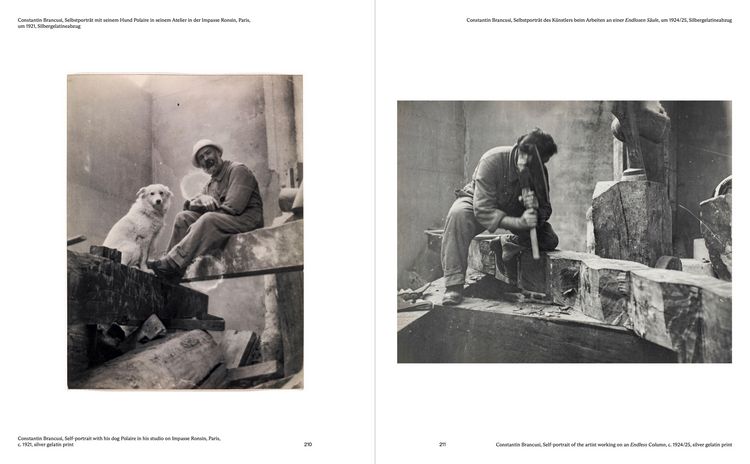Produktbild: Brancusi