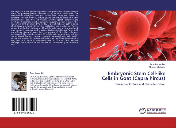 Produktbild: Embryonic Stem Cell-like Cells in Goat (Capra hircus)