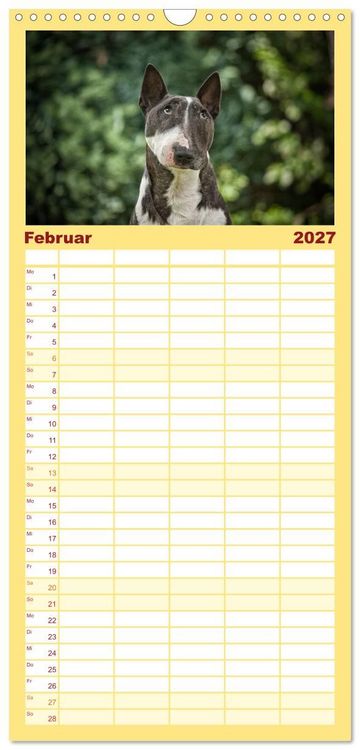 Produktbild: Familienplaner 2027 - Bullterrier mit 5 Spalten (Wandkalender, 21 x 45 cm) CALVENDO