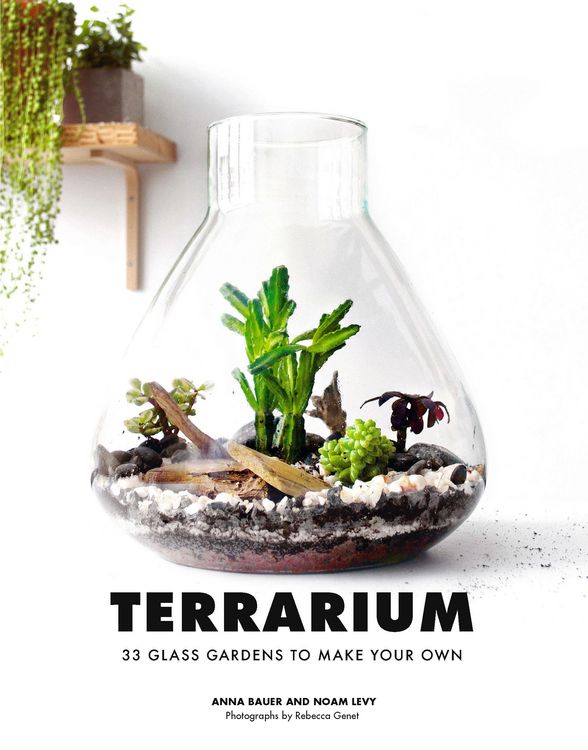 Produktbild: Terrarium