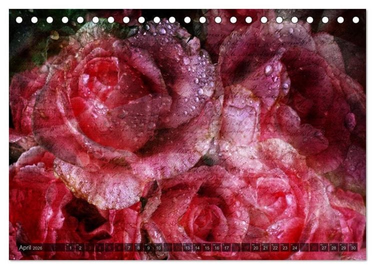 Produktbild: Gothic Rose - Rosen aus dem Garten der Finsternis (Tischkalender 2026 DIN A5 quer), CALVENDO Monatskalender