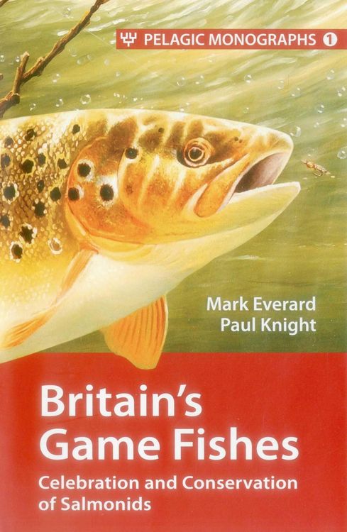 Produktbild: Britain's Game Fishes