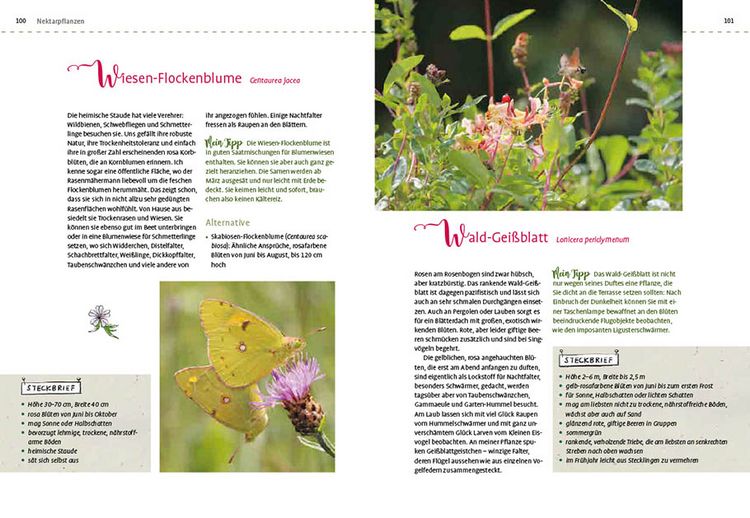 Produktbild: Mein Schmetterlingsgarten