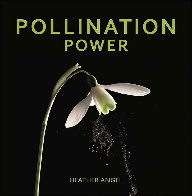 Produktbild: Pollination Power