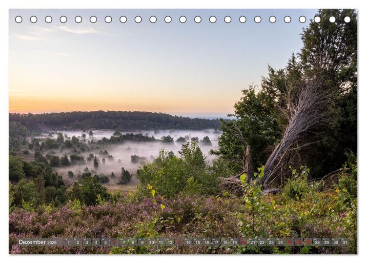 Produktbild: Die L&uuml;neburger Heide - In voller Bl&uuml;te (Tischkalender 2026 DIN A5 quer), CALVENDO Monatskalender