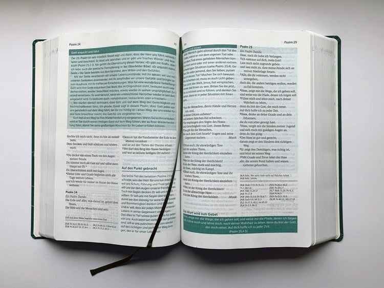 Produktbild: Die Bibel mit Impulsen von Joyce Meyer