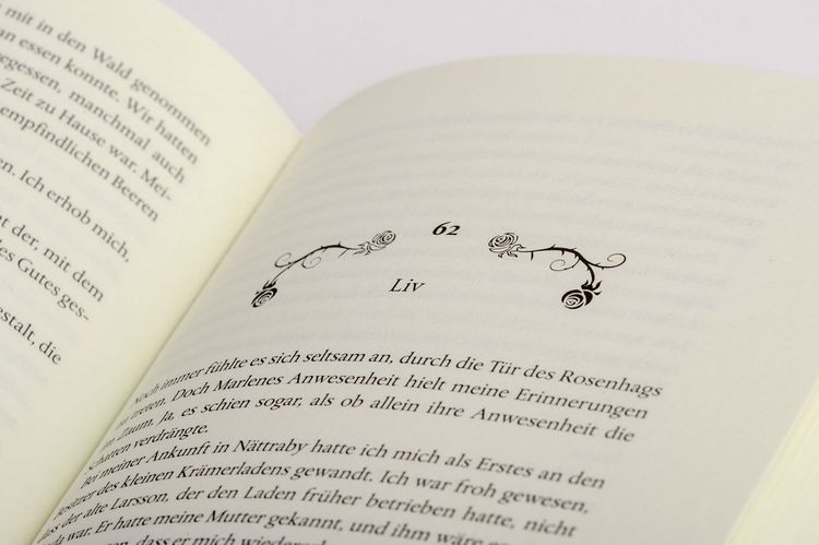 Produktbild: Die Frauen vom Rosenhag. Traum vom Neubeginn