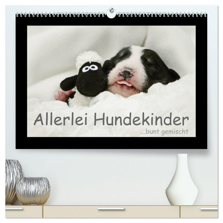 Produktbild: Allerlei Hundekinder (hochwertiger Premium Wandkalender 2026 DIN A2 quer), Kunstdruck in Hochglanz