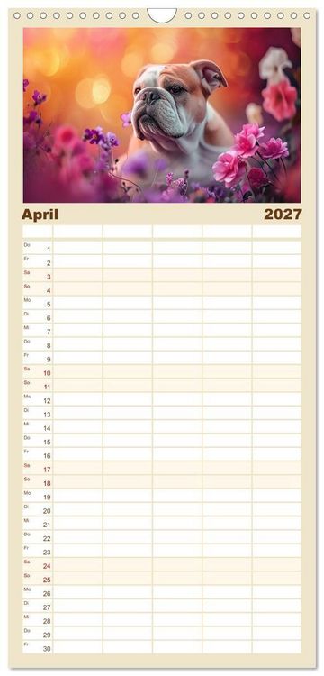 Produktbild: Familienplaner 2027 - Englische Bulldoggen im Bl&uuml;tenmeer mit 5 Spalten (Wandkalender, 21 x 45 cm) CALVENDO