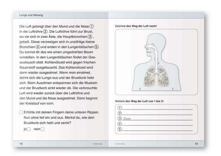 Produktbild: Ich kenne meinen Körper - Blutkreislauf Atmung