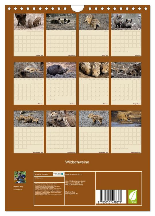 Produktbild: Wildschweine (Wandkalender 2026 DIN A4 hoch), CALVENDO Monatskalender
