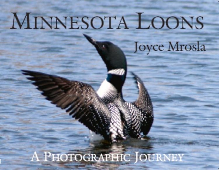Produktbild: Minnesota Loons