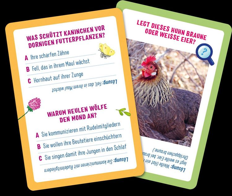 Produktbild: Das Quiz f&uuml;r kleine Forscher &ndash; Natur