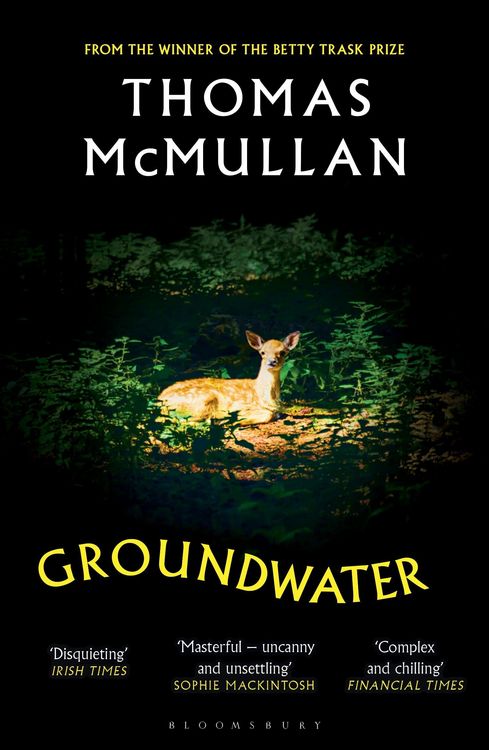 Produktbild: Groundwater