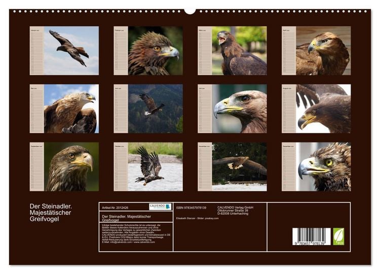 Produktbild: Der Steinadler. Majest&auml;tischer Greifvogel (hochwertiger Premium Wandkalender 2026 DIN A2 quer), Kunstdruck in Hochglanz