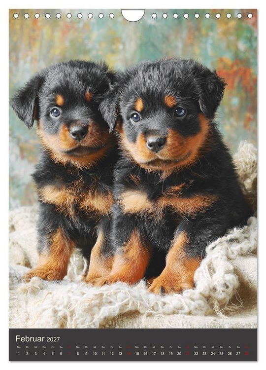Produktbild: Rottweiler. Kraft, Herz und Treue (Wandkalender 2027 DIN A4 hoch), CALVENDO Monatskalender