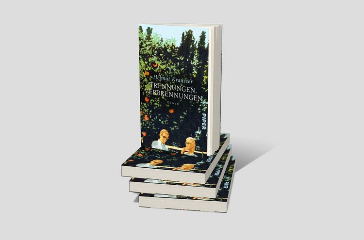 Produktbild: Trennungen. Verbrennungen