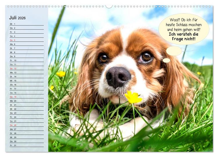 Produktbild: Hurra! Wir gehen Gassi! Abenteuer mit dem Hund! (Wandkalender 2026 DIN A2 quer), CALVENDO Monatskalender