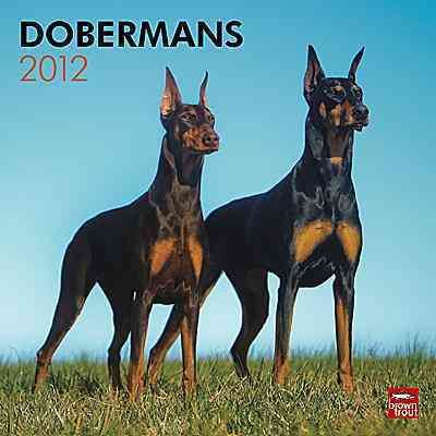 Produktbild: Dobermans 2012 Calendar