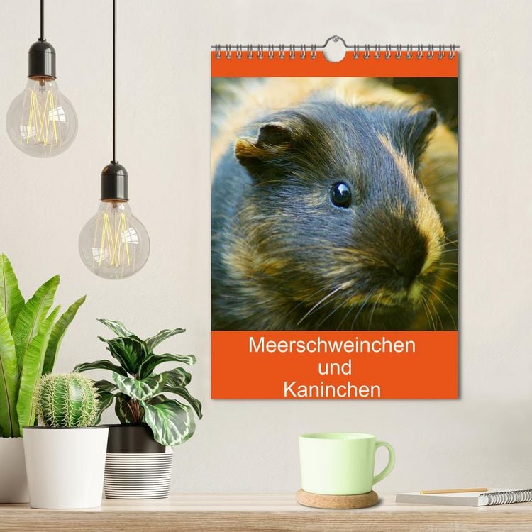 Produktbild: Meerschweinchen und Kaninchen Familienplaner (Wandkalender 2026 DIN A4 hoch), CALVENDO Monatskalender
