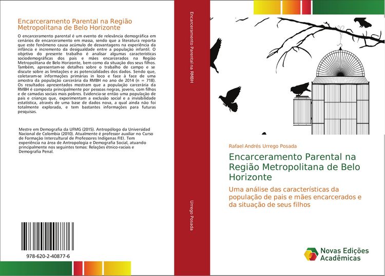 Produktbild: Encarceramento Parental na Regi&atilde;o Metropolitana de Belo Horizonte