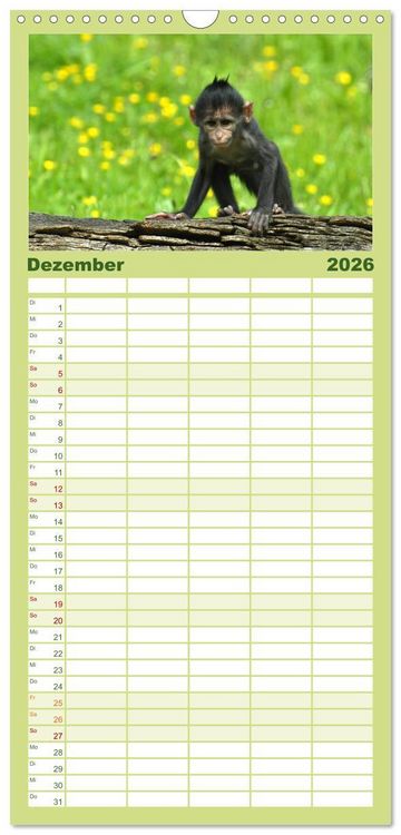 Produktbild: Familienplaner 2026 - Kleine Schelme - Tierbabys mit 5 Spalten (Wandkalender, 21 x 45 cm) CALVENDO