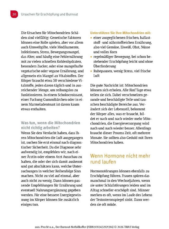Produktbild: Der Burnout-Notfallkoffer