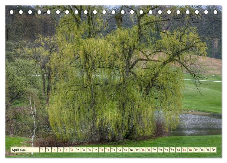Produktbild: B&auml;ume, der Atem der Natur (Tischkalender 2026 DIN A5 quer), CALVENDO Monatskalender