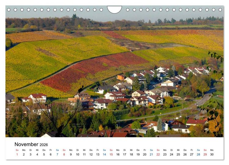 Produktbild: W&uuml;rttemberger Wein 2026 (Wandkalender 2026 DIN A4 quer), CALVENDO Monatskalender