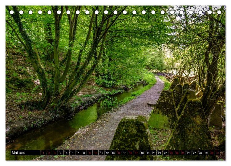 Produktbild: Wege des einfachen Gl&uuml;cks - Spazierg&auml;nge im Wald (Tischkalender 2026 DIN A5 quer), CALVENDO Monatskalender
