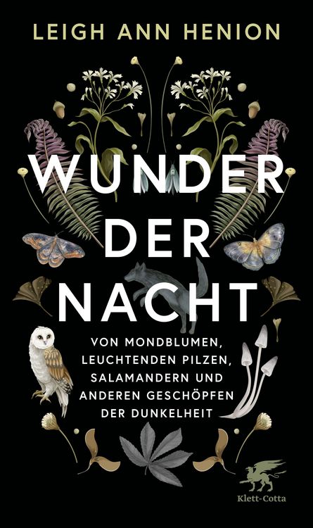 Produktbild: Wunder der Nacht